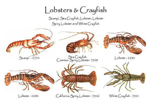 Lobsters & Crayfish