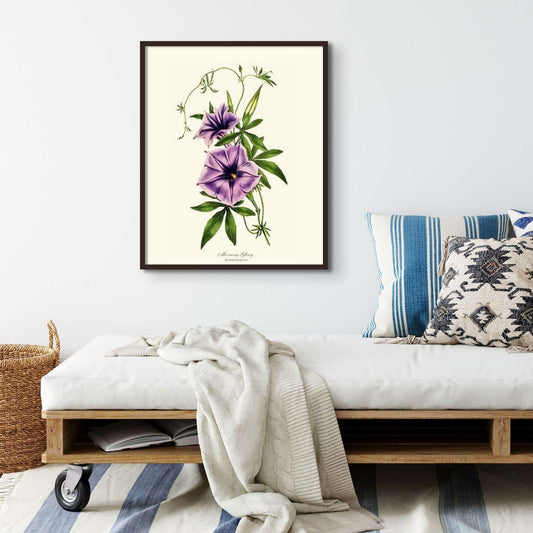 Morning Glory | Flower/Floral Art Print
