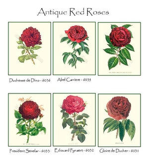 Vintage Red Rose Note Card Set