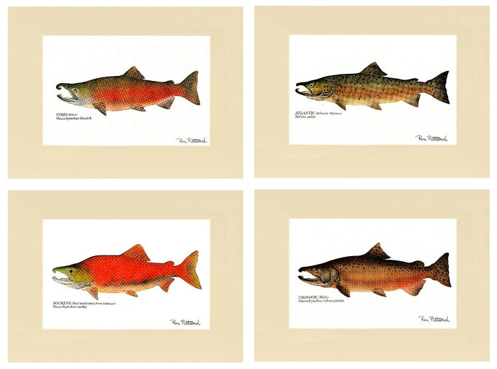 Salmon Print Set
