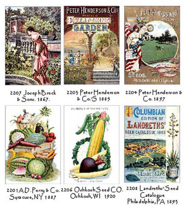 Seed Catalogs Note Card Set