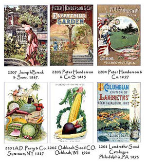 Seed Catalogs Note Card Set 