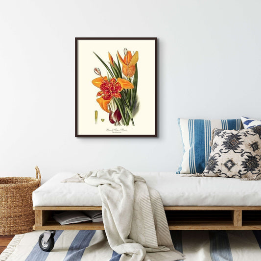 Tiger Flower | Flower/Floral Art Print