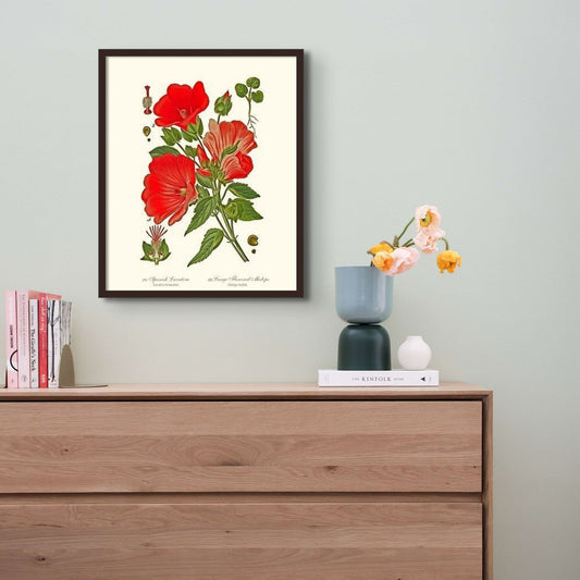Lavatera and Malope | Flower/Floral Art Print