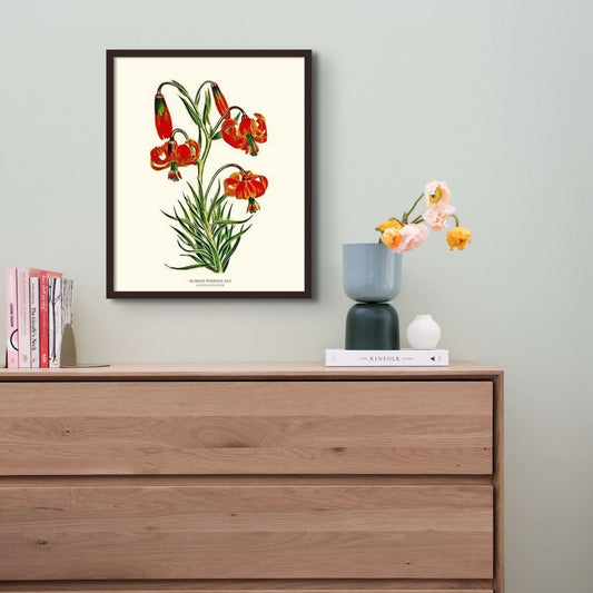 Lily, Scarlet Pompone | Flower/Floral Art Print