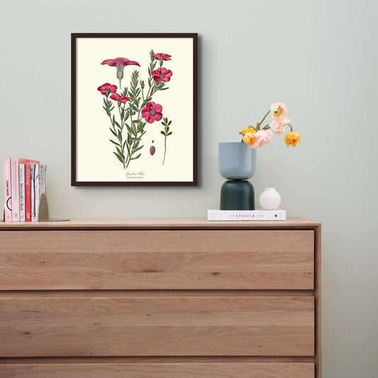 Flax, Garden | Flower/Floral Art Print