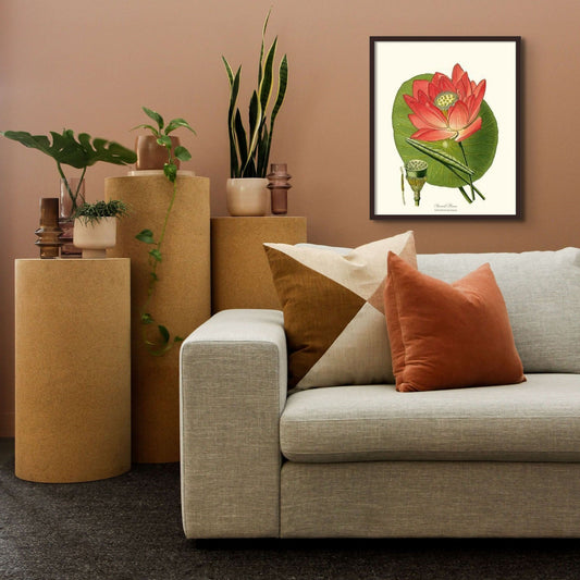 Lotus | Flower/Floral Art Print