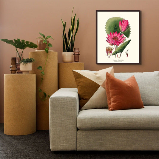 Water-Lily | Flower/Floral Art Print
