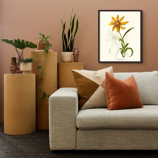 Wyethia, Arizonian | Flower/Floral Art Print