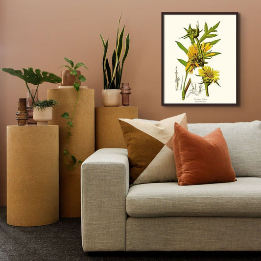 Compass Plant | Flower/Floral Art Print
