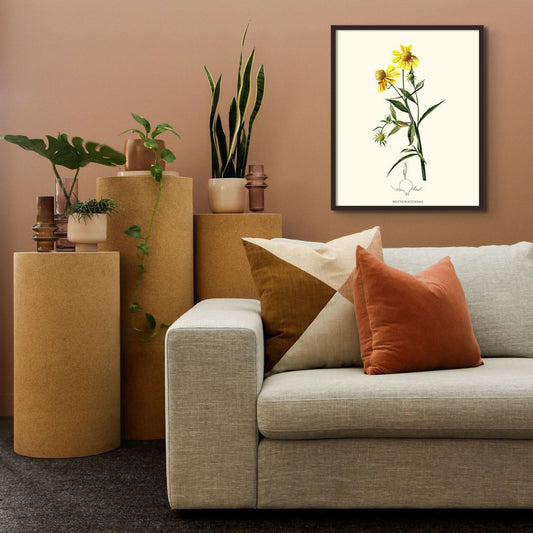 Sneezewort, Autumn | Flower/Floral Art Print