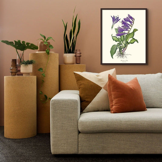 Lily, Plantain | Flower/Floral Art Print