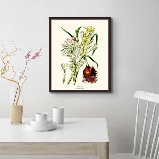 Tuberose | Flower/Floral Art Print