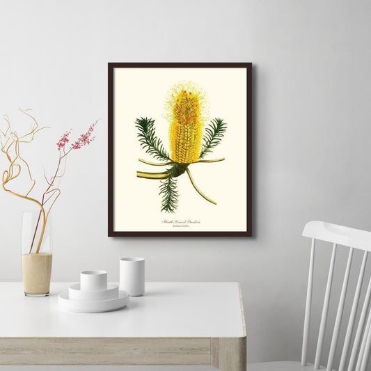 Banksia | Flower/Floral Art Print