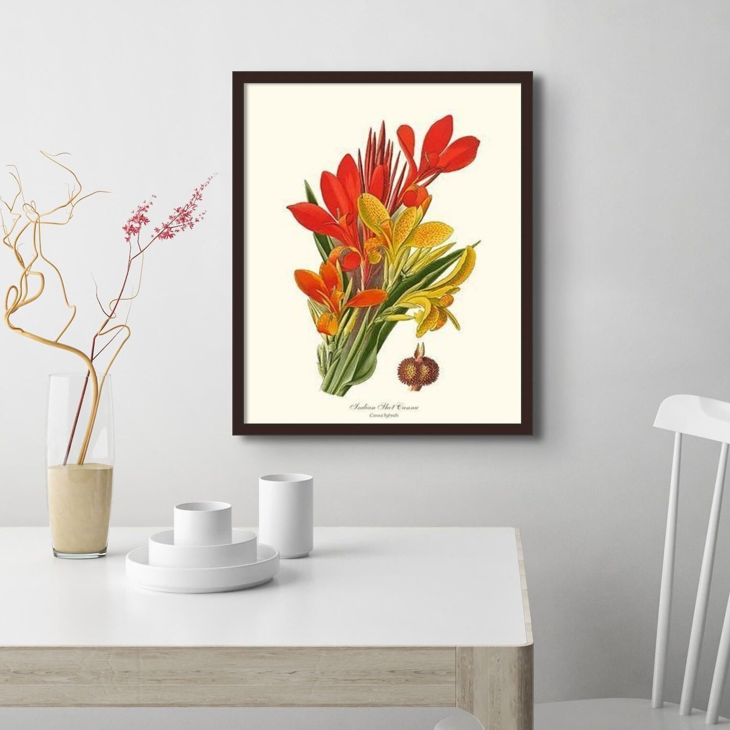 Canna, Indian Shot | Flower/Floral Art Print