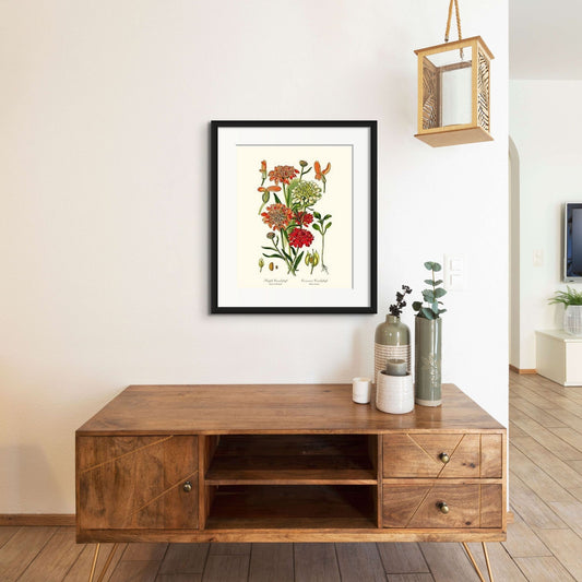 Candytuft | Flower/Floral Art Print