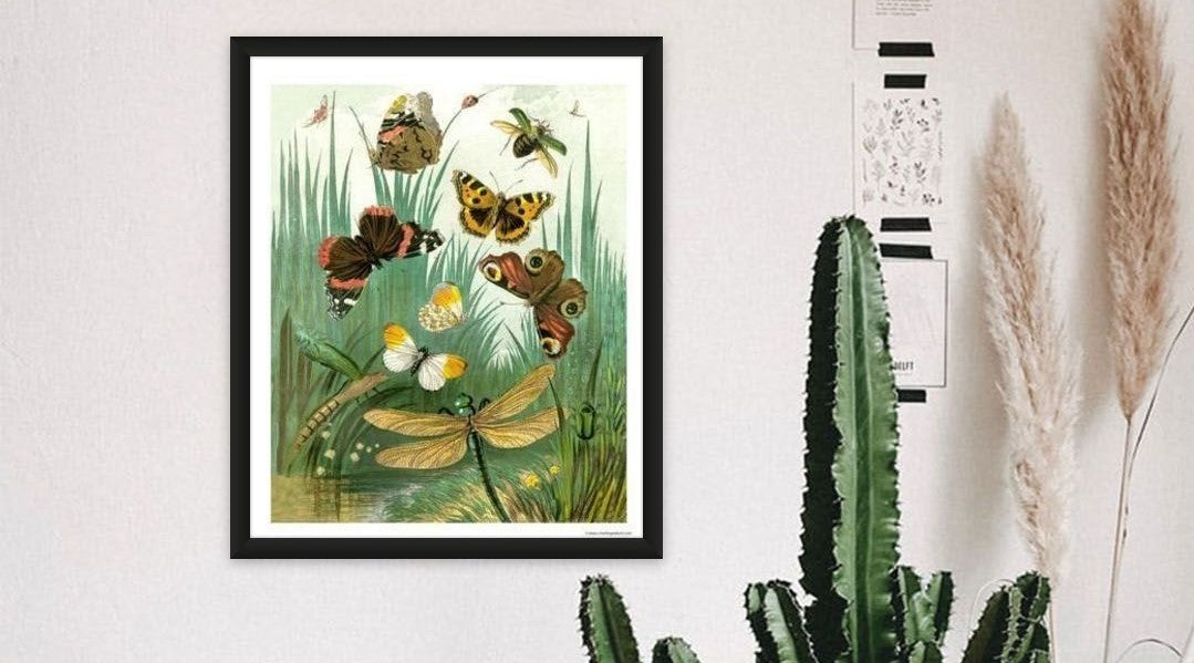 Butterflies - Charting Nature