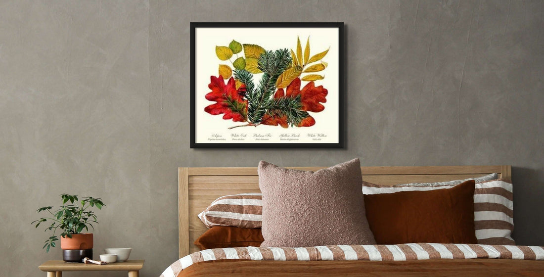 Autumn Foliage - Charting Nature