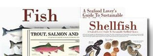 Sustainable Fish Guide