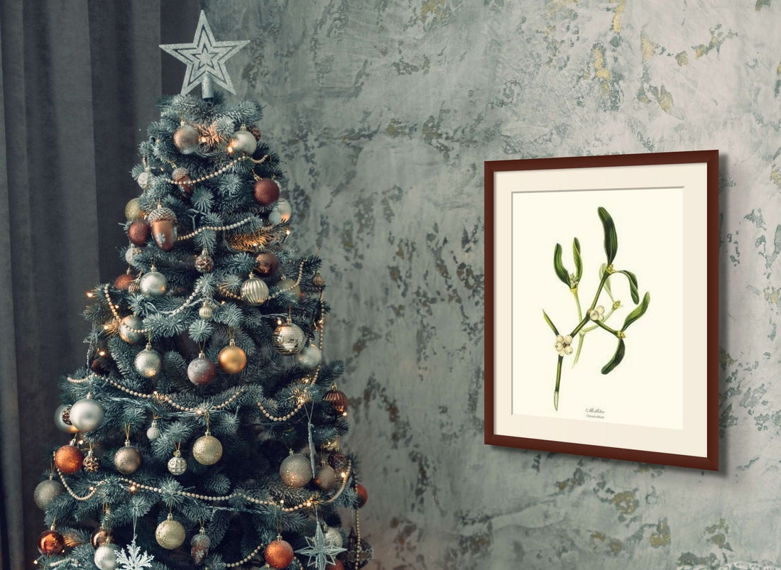 Mistletoe - Charting Nature