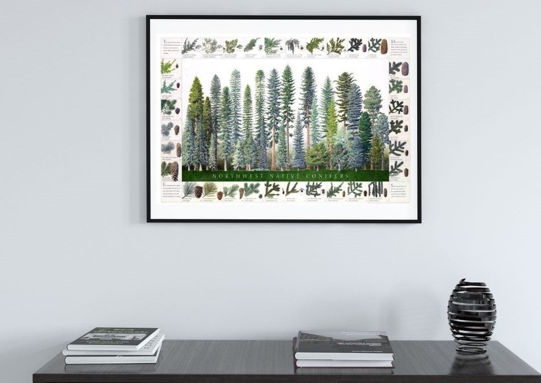 Your Brain and Nature: – Charting Nature