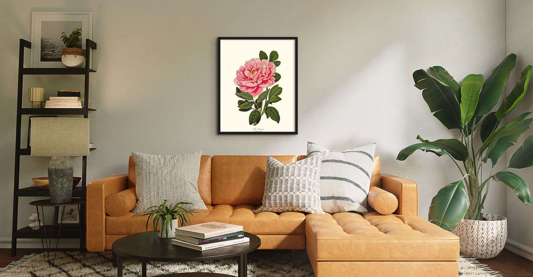 Peony - Charting Nature