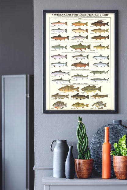 Western Gamefish Poster & Identification Chart. Sport Fisherman Wall Art