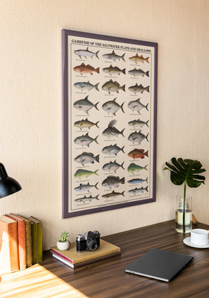Saltwater Flats and Shallows Fish Poster and Identification Chart