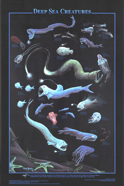 Deep Sea Creatures