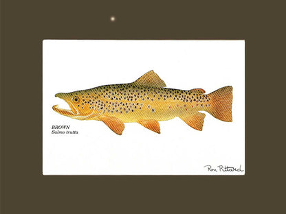 Northern Pike | matted gamefish wall art print | Angler's Decor