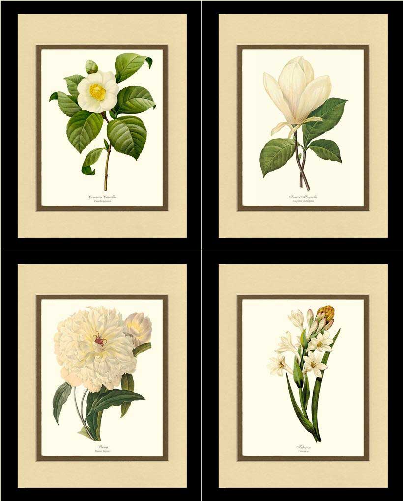 White Botanical Flower Wall Art Prints Set | Flower/Floral Art Print
