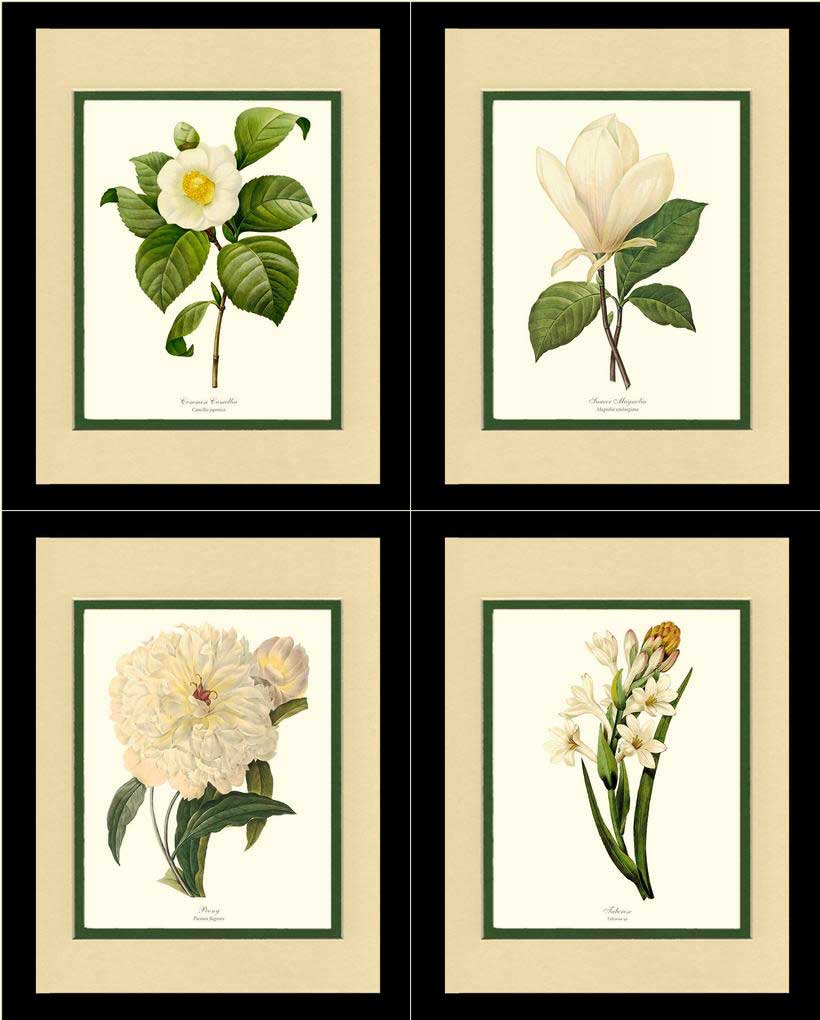 White Botanical Flower Wall Art Prints Set | Flower/Floral Art Print