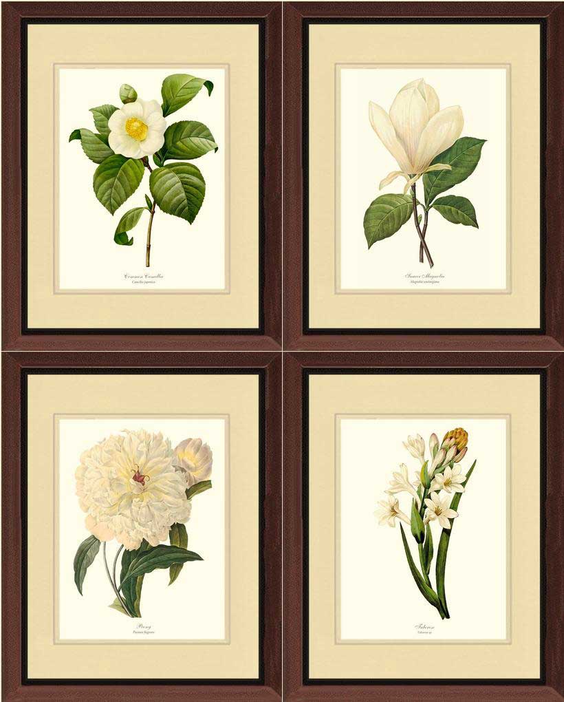 White Botanical Flower Wall Art Prints Set | Flower/Floral Art Print