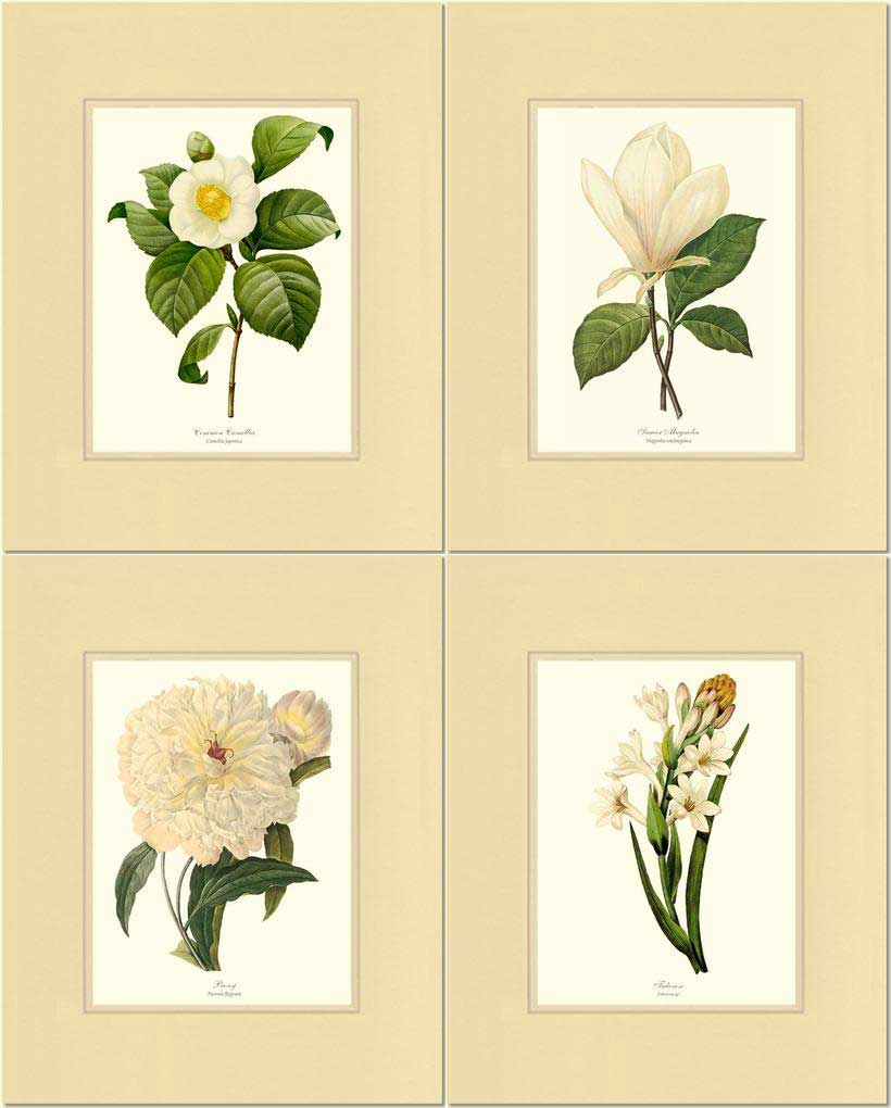 White Botanical Flower Wall Art Prints Set | Flower/Floral Art Print
