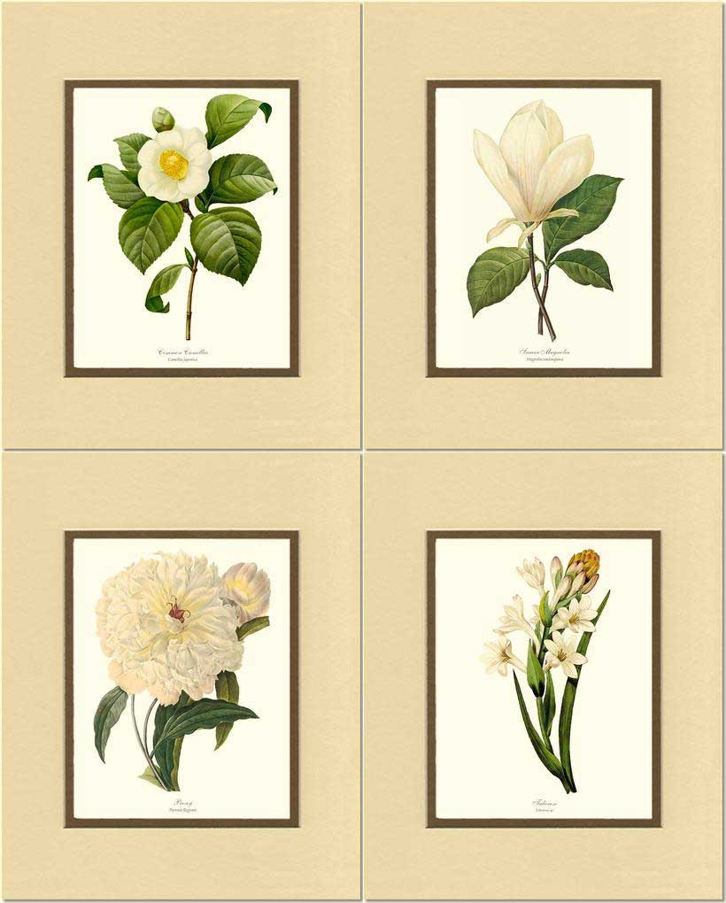 White Botanical Flower Wall Art Prints Set | Flower/Floral Art Print