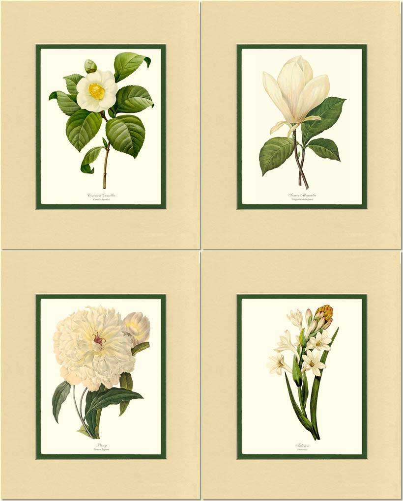 White Botanical Flower Wall Art Prints Set | Flower/Floral Art Print