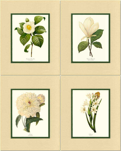 White Botanical Flower Wall Art Prints Set | Flower/Floral Art Print