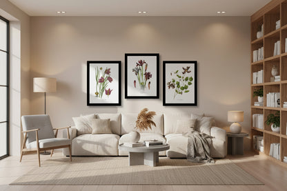 wildflowers-clematis-snakeshead-iris botanical print