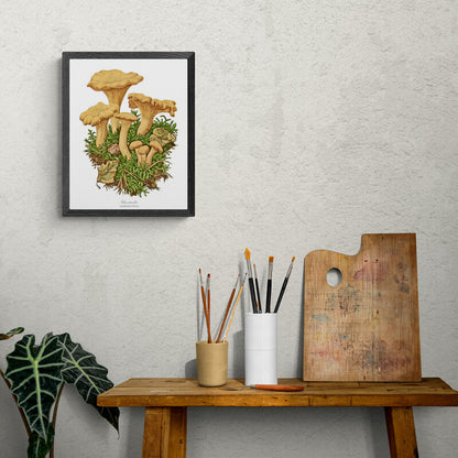 Chanterelle Mushroom | Vintage Mushroom Art Print