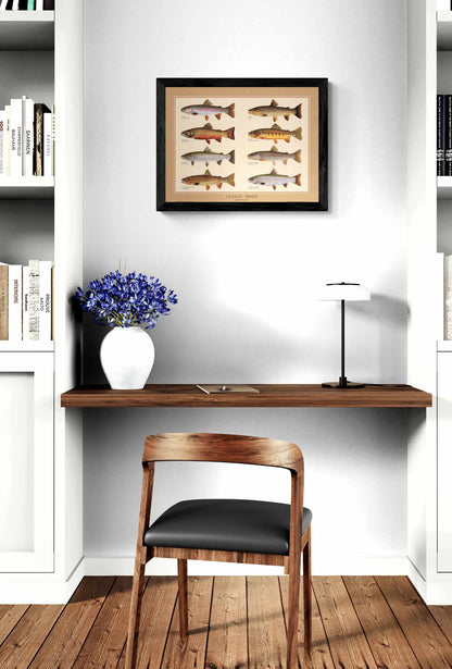 Classic Trout Poster | Identification Chart and Wall Art by Joseph Tomelleri