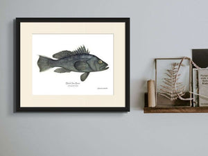 Fish Art
