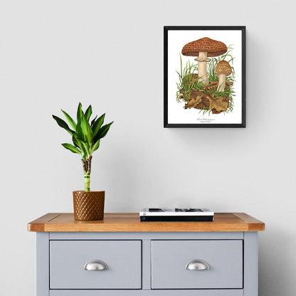 Forest Champignon Mushroom | Vintage Mushroom Art Print