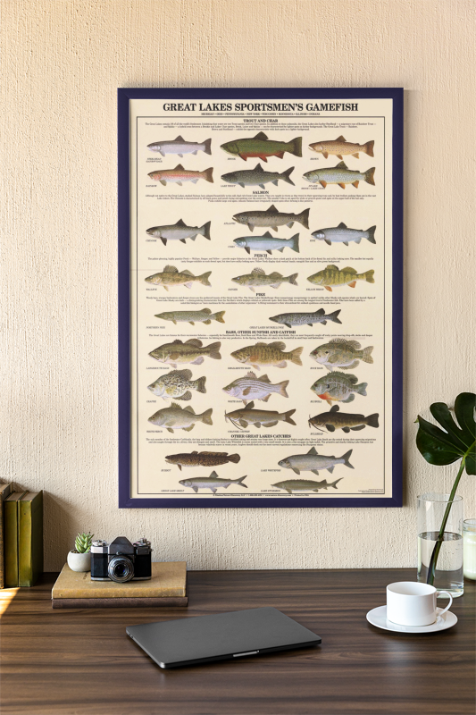 Fish Posters and Identification Charts | Freshwater Saltwater Guides ...