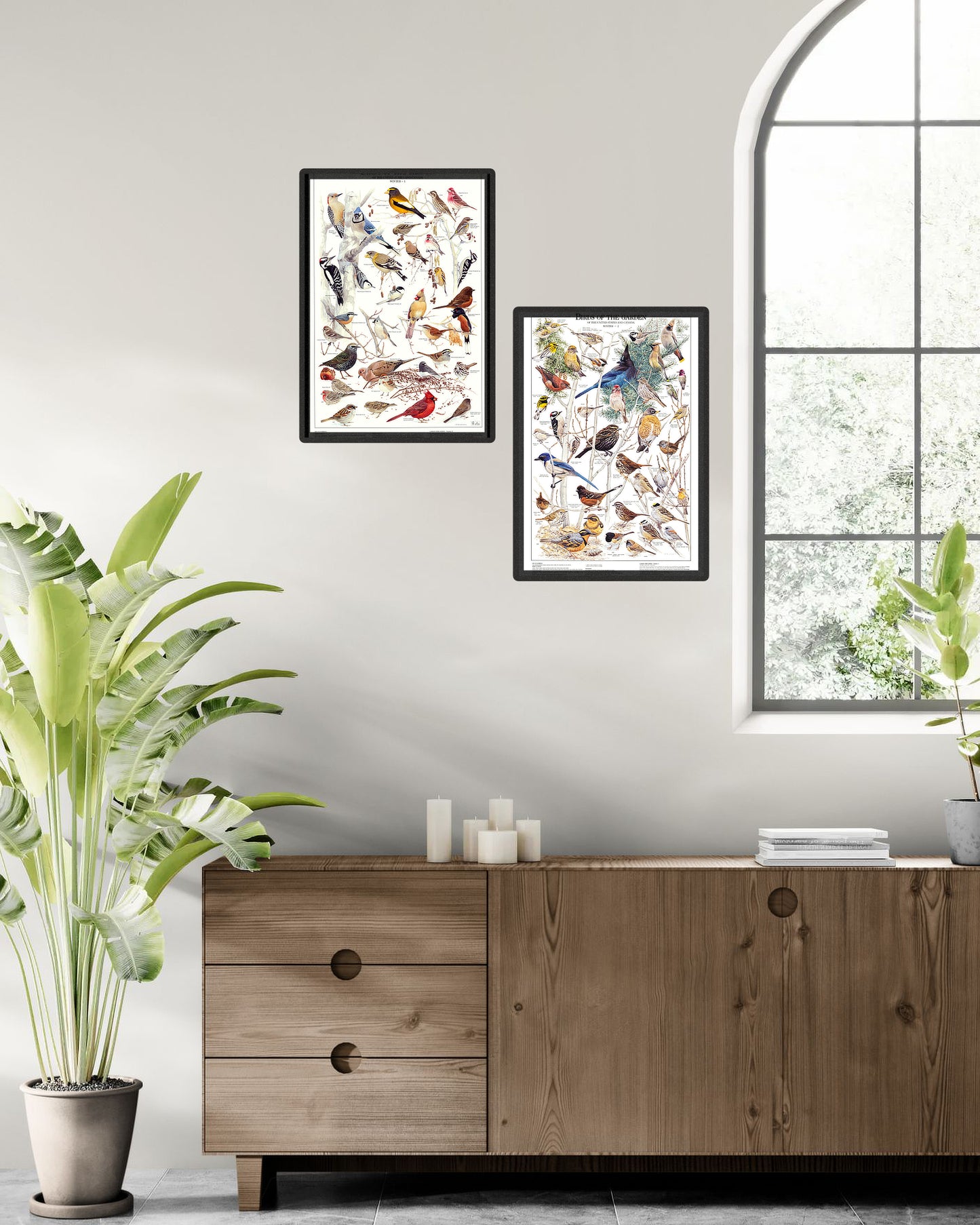 Backyard Bird Chart and Poster Set.   Western Garden Bird Species Identification