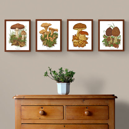 Vintage Mushroom Print Set | Vintage Mushroom Art Print