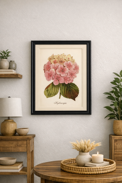 Hydrangea Art Print – Vintage Botanical Flower Wall Art
