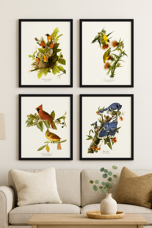 Audubon Bird Art Print Set – Matched Collection of 4 Vintage Wild Bird Illustrations