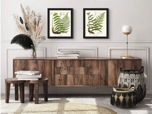 Botanical Prints