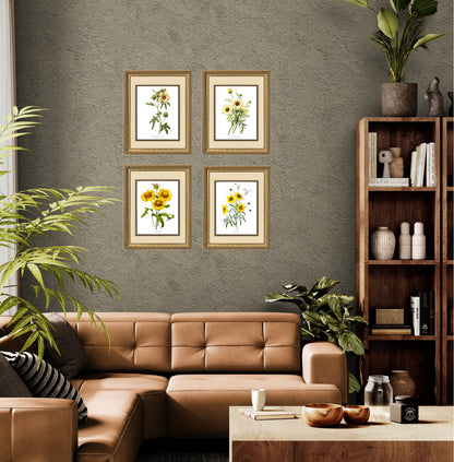 Yellow Flower Vintage Print Set | Flower/Floral Art Print