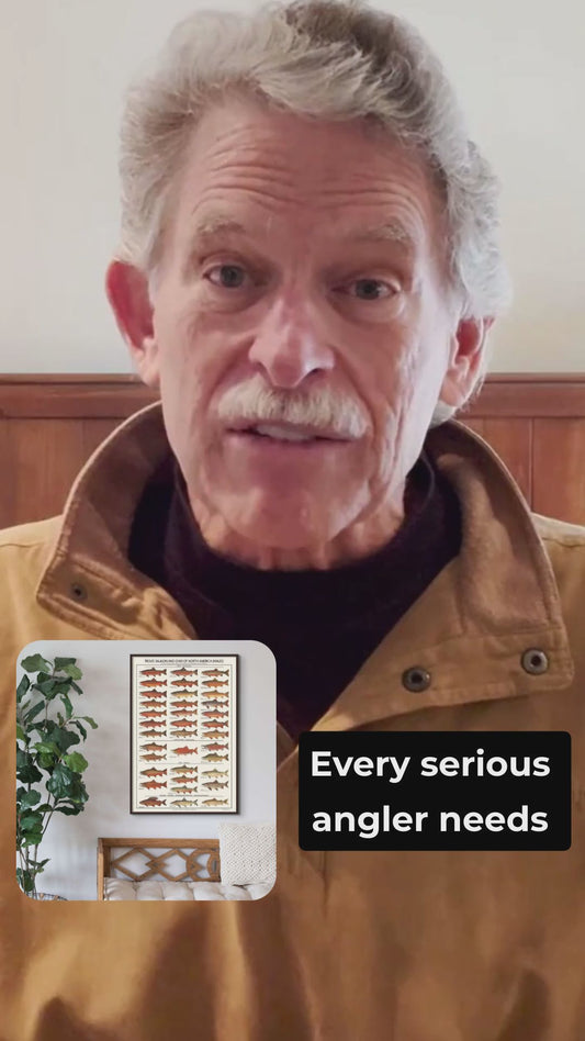 Trout, Salmon and Char ID Art Poster - Males